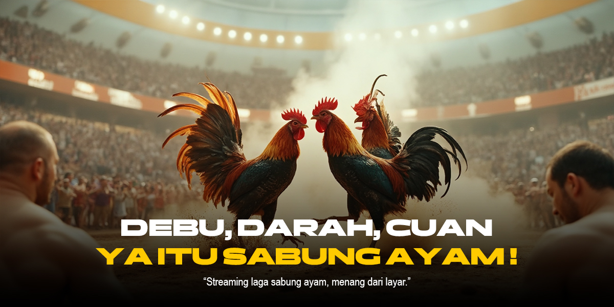 Mengenal Jenis Ayam Aduan SV388 yang Populer di Dunia Sabung Ayam