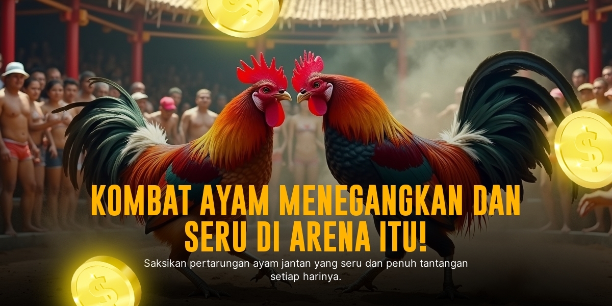 Mengenal Ayam Bangkok: Raja Sabung Ayam dengan Odds Terbaik di SV388